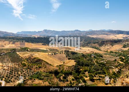 Vista del paesaggio andaluso dei campi e dei vigneti spagnoli vicino a Ronda, in Spagna, durante il giorno estivo soleggiato, montagne sullo sfondo. Foto Stock