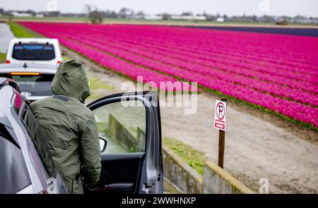 LISSE - turisti sotto la pioggia nei campi di bulbi vicino al Keukenhof. ANP ROBIN UTRECHT netherlands Out - belgio Out Foto Stock