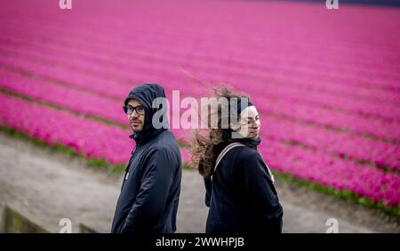 LISSE - turisti sotto la pioggia nei campi di bulbi vicino al Keukenhof. ANP ROBIN UTRECHT netherlands Out - belgio Out Foto Stock