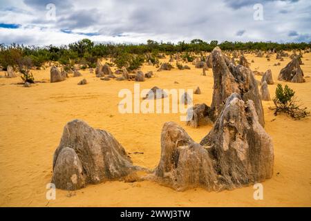 Paesaggio lunare del deserto dei Pinnacoli al Nambung National Park, Australia Occidentale, Australia. Foto Stock