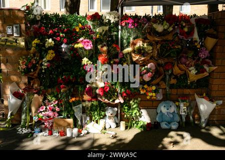 Sydney, Australia. 24 marzo 2024. Fiori, candele e dolcetti visti all'ingresso del Consolato generale della Russia a Sydney. Il pubblico ha espresso le proprie condoglianze alle vittime dell'attentato alla sala concerti di Mosca e il 24 marzo è stato allestito un memoriale all'ingresso del Consolato generale della Russia a Sydney. Più di 100 persone sono state uccise durante l'attacco terroristico alla sala concerti Crocus City Hall di Mosca il 22 marzo. Credito: SOPA Images Limited/Alamy Live News Foto Stock