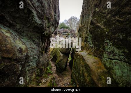 Antiche formazioni rocciose di arenaria a Tunbridge Wells Rusthall Common, erose durante l'era glaciale ed erose dal vento e dall'acqua in forme spettacolari. Foto Stock