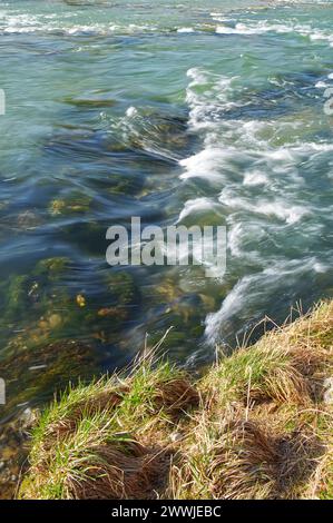 Pietre coperte di muschio nel fiume sotto l'acqua corrente e l'erba secca sulla riva Foto Stock
