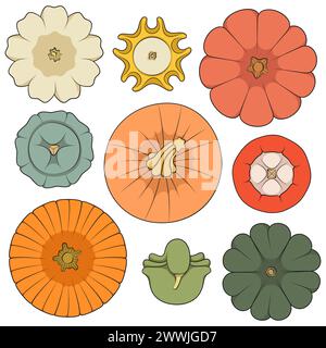 Set di illustrazioni a colori con zucche di diverse forme e varietà. Oggetti isolati su sfondo bianco. Illustrazione Vettoriale