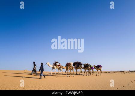 Mauritania, dintorni di Chinguetti, carovana di cammelli Foto Stock