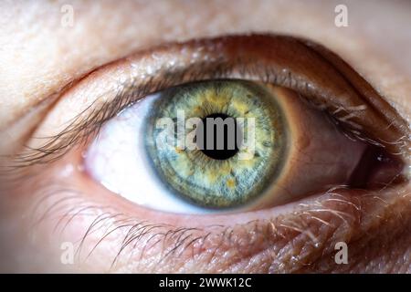 Descrizione: Occhio femminile di colore blu-verde con macchie di pigmento marroni. Pupilla aperta. Primo piano. Anatomia strutturale. Dettagli macro Human Iris. Foto Stock