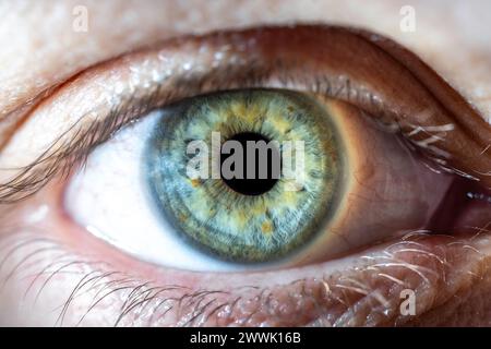 Descrizione: Occhio femminile di colore blu-verde con macchie di pigmento marroni. Pupilla aperta. Primo piano. Anatomia strutturale. Dettagli macro Human Iris. Foto Stock