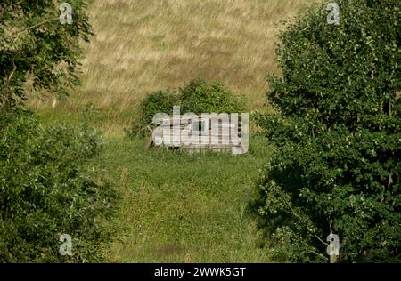 Radocyna, villaggio abbandonato, regione di Lemko, Polonia orientale Foto Stock