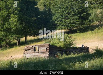 Radocyna, villaggio abbandonato, regione di Lemko, Polonia orientale Foto Stock