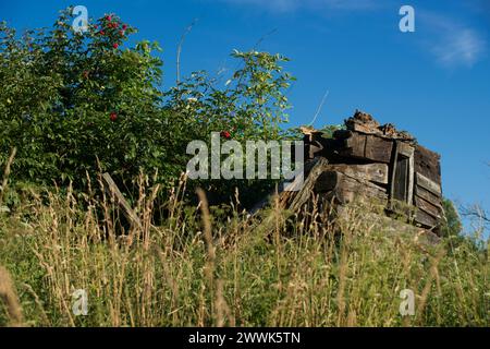 Radocyna, villaggio abbandonato, regione di Lemko, Polonia orientale Foto Stock