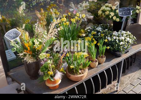 Splendidi fiori primaverili di fronte al negozio di fiori in primavera. Composizioni floreali di Pasqua. Foto Stock