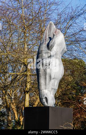 Grande scultura metallica «Still Water» di una testa di cavallo di NIC Fiddian-Green in cima a Battleston Hill presso RHS Garden Wisley in inverno Foto Stock