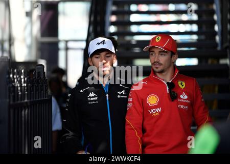 MELBOURNE, AUSTRALIA, 24 marzo 2024. Nella foto 10 Pierre Gasly (fra) BWT Alpine F1 Team e 16 Charles Leclerc (MCO) Scuderia Ferrari tornano al paddock dopo la sfilata dei piloti domenicale al FIA Formula 1 Rolex Australian Grand Prix 2024 3° round dal 22 al 24 marzo presso l'Albert Park Street Circuit di Melbourne, Australia. Crediti: Karl Phillipson/Alamy Live News Foto Stock