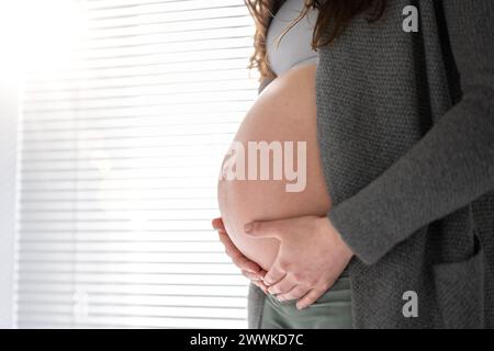 Descrizione: Vista laterale della sezione centrale di una donna irriconoscibile che tiene delicatamente la pancia negli ultimi mesi di gravidanza. Gravidanza primo trimestre - Wee Foto Stock