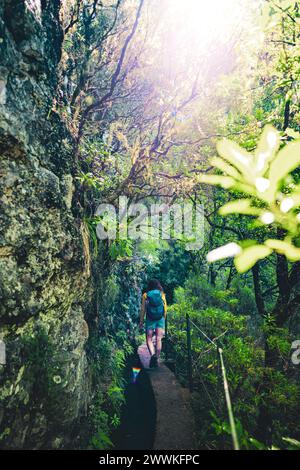 Descrizione: Backpacker donna a piedi lungo percorso escursionistico giungla troppo cresciuto vicino al canale attraverso la foresta pluviale di Madeiran. Levada di Caldeirão Verde, Madei Foto Stock