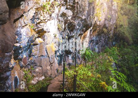 Descrizione: Ripido sentiero escursionistico scogliera vicino al canale d'acqua attraverso la foresta pluviale di Madeiran. Levada di Caldeirão Verde, Isola di Madeira, Portogallo, Europa. Foto Stock