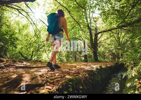 Descrizione: Donna turistica cammina accanto al canale attraverso la foresta pluviale di Madeiran sul sentiero escursionistico in mattinata. Levada di Caldeirão Verde, Madeira Isla Foto Stock