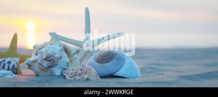 Tramonto sul mare e conchiglie sulla sabbia. rendering 3d. Foto Stock
