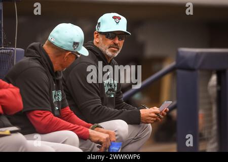 Il manager degli Arizona Diamondbacks Torey Lovullo si siede davanti a una partita di baseball degli allenamenti primaverili della MLB contro i Milwaukee Brewers sabato 23 marzo 2024, Foto Stock