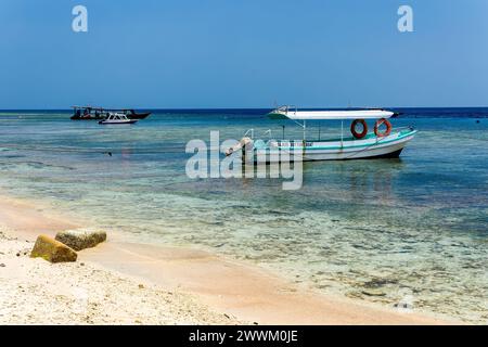 Vecchie e nuove barche in legno in acque poco profonde al largo della spiaggia di una piccola isola tropicale Foto Stock