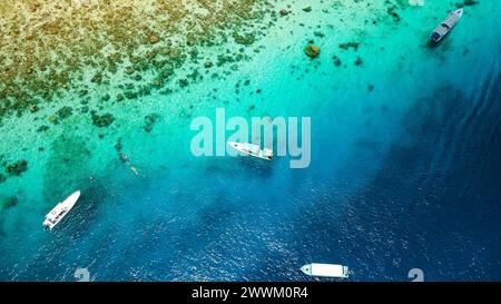 Nuotatori e snorkelling dalle barche del tour su una barriera corallina tropicale in un oceano limpido, blu e caldo Foto Stock