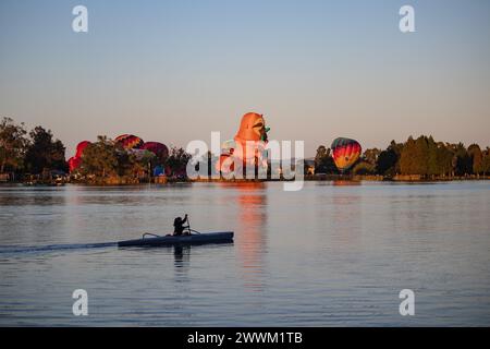 Hamilton, nuova Zelanda, 14 marzo 2023: Mongolfiere su Waikato all'alba, vista dall'altra parte del lago Foto Stock