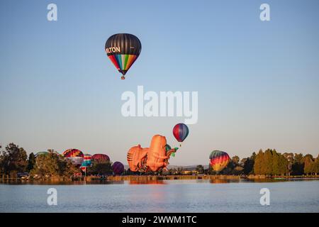 Hamilton, nuova Zelanda, 14 marzo 2023: Mongolfiere su Waikato all'alba, vista dall'altra parte del lago Foto Stock