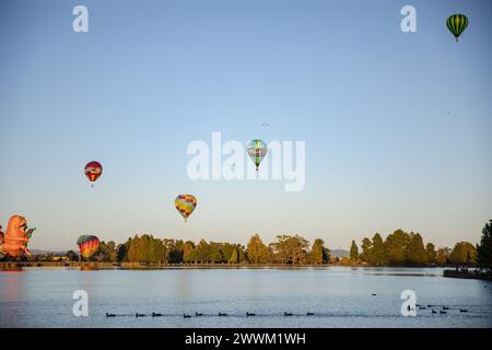 Hamilton, nuova Zelanda, 14 marzo 2023: Mongolfiere su Waikato all'alba, vista dall'altra parte del lago Foto Stock