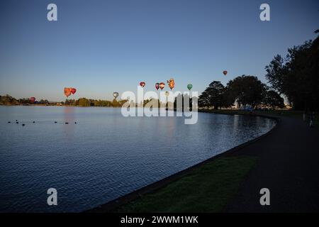 Hamilton, nuova Zelanda, 14 marzo 2023: Mongolfiere su Waikato all'alba, vista dall'altra parte del lago Foto Stock