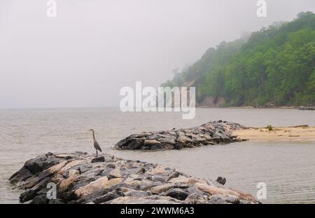 Westmoreland State Park nella contea di Westmoreland, Virginia, Stati Uniti Foto Stock