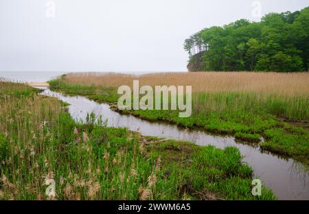 Westmoreland State Park nella contea di Westmoreland, Virginia, Stati Uniti Foto Stock