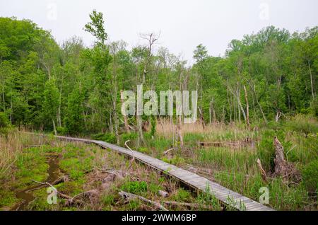 Westmoreland State Park nella contea di Westmoreland, Virginia, Stati Uniti Foto Stock