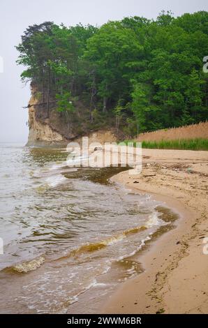 Westmoreland State Park nella contea di Westmoreland, Virginia, Stati Uniti Foto Stock