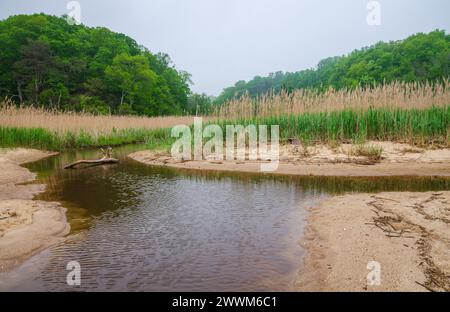 Westmoreland State Park nella contea di Westmoreland, Virginia, Stati Uniti Foto Stock