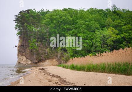 Westmoreland State Park nella contea di Westmoreland, Virginia, Stati Uniti Foto Stock