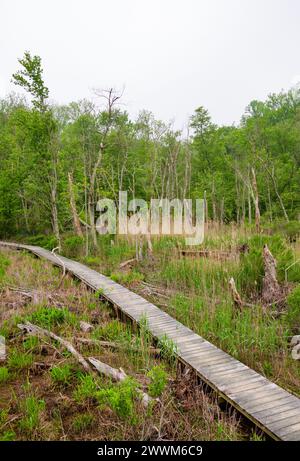 Westmoreland State Park nella contea di Westmoreland, Virginia, Stati Uniti Foto Stock