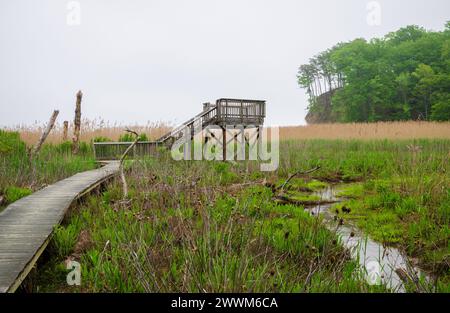 Westmoreland State Park nella contea di Westmoreland, Virginia, Stati Uniti Foto Stock