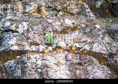 Rocce e pietre si aggrappano alla parete della montagna, creando un'aspra e strutturata salita, un viaggio impegnativo attraverso il terreno ripido e roccioso. Foto Stock
