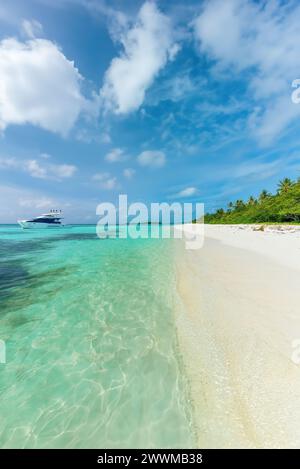 Una spiaggia delle Maldive che mostra le acque cristalline e le palme. Foto Stock