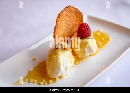 Un dessert del ristorante dell'Hotel El Prado, a Puigcerdà, con cucina tradizionale dei Pirenei (Cerdanya, Girona, Catalogna, Spagna, Pirenei) Foto Stock