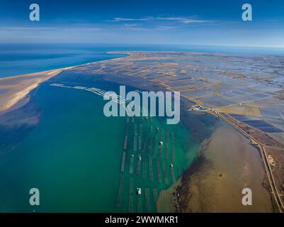 Veduta aerea della baia di Fangar e delle fattorie di mitili del delta dell'Ebro (Tarragona, Catalogna, Spagna) ESP: Vista aérea de la Bahía del Fangar Foto Stock