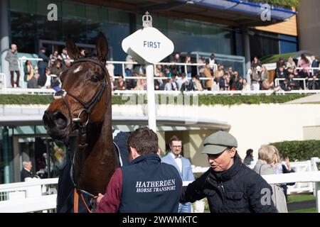 Ascot, Regno Unito. 24 marzo 2024. Horse King's Threshold, vincitore dell'ippodromo di Ascot, sostiene il concorso Achieving for Children handicap Steeple Chase all'ippodromo Spring Family Raceday dell'Ascot Racecourse. Proprietario della navigazione a Bisanzio, allenatore Emma Lavelle, Marlborough, allevatore William Jenks, Sponsor Hatherden Horse Transport. Crediti: Maureen McLean/Alamy Live News Foto Stock