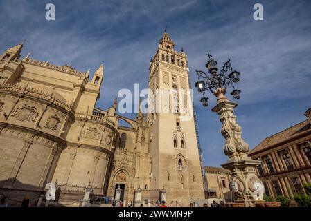 La Giralda, il campanile della cattedrale di Siviglia, visto da piazza Virgen de los Reyes (Siviglia, Andalusia, Spagna). In particolare: La Giralda de Sevilla Foto Stock