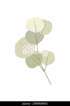 Eucalipto, illustrazione floreale. Ramo di foglie verdi, verde del dollaro d'argento, foglie naturali elementi tropicali per inviti di nozze, cancelleria, saluto Illustrazione Vettoriale