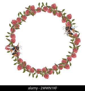Fiori di trifoglio acquerello. Telaio rotondo realizzato in shamrock con api. Graziosa clip art botanica isolata su sfondo bianco. Corona floreale per la progettazione di Foto Stock
