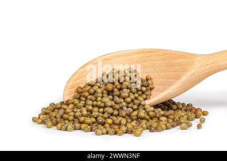 cucchiaio di legno con fagioli mung isolati su sfondo bianco da vicino Foto Stock