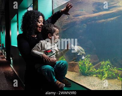 Kaiyan Tapley di due anni e sua madre Sonika Tapley si avvicinano a una tartaruga dal collo serpente di Roti, una specie che è praticamente estinta in natura, durante una chiamata fotografica per la nuova esperienza dello Zoo di Londra "The Secret Life of rettiles and Amphibians", che si apre al pubblico, a Regent's Park, Londra. Data foto: Lunedì 25 marzo 2024. Foto Stock