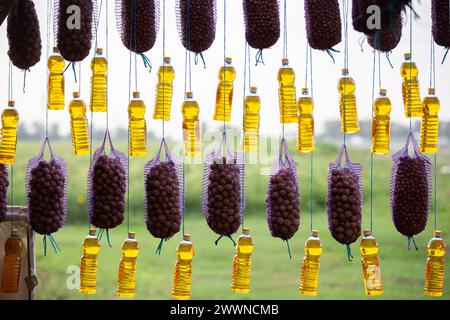 L'olio di girasole e le patate sono venduti alla fiera agricola. Le merci sono ben appese alle corde. Foto Stock
