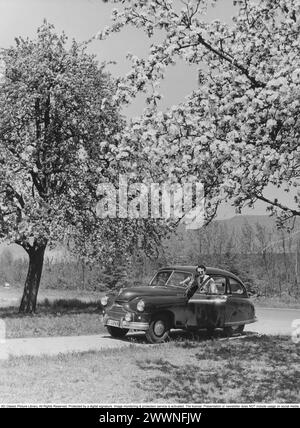 Vazione in Italia nel 1951. Un uomo alla sua auto durante un viaggio in Italia. E' parcheggiato su una piccola strada tra alberi fioriti. Conard rif. 1666 Foto Stock