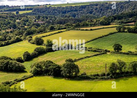 Vista estiva guardando attraverso la Torridge Valley verso la RHS Rosemoor e Beaford con Fields e Cloudy Sky, Great Torrington, Devon, Inghilterra. Foto Stock